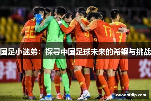 国足小迷弟：探寻中国足球未来的希望与挑战