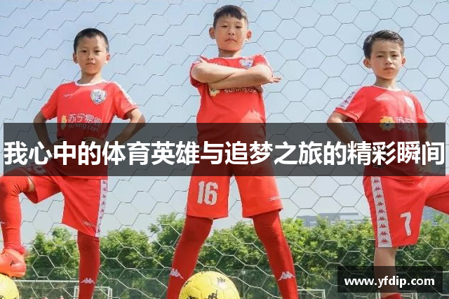 我心中的体育英雄与追梦之旅的精彩瞬间